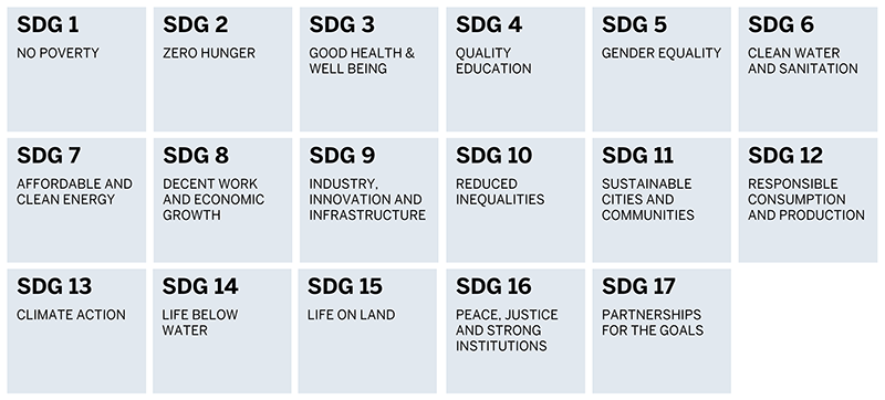 FIGURE 2: USING THE SUSTAINABLE DEVELOPMENT GOALS AS A FOCUS